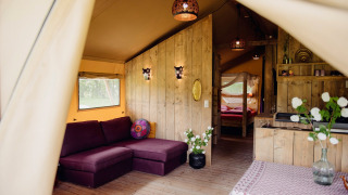 Indretning af en luksuriøs safaritelt med træpaneler, lilla sofa, blomster og hyggelig belysning.