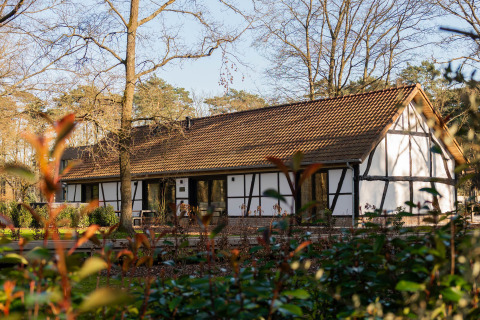 Traditionele vakwerk lodge met rood pannendak in Villa Lodge, Woodz Lodges, België, omringd door bomen.