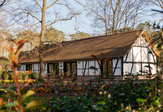 Traditionele vakwerk lodge met rood pannendak in Villa Lodge, Woodz Lodges, België, omringd door bomen.