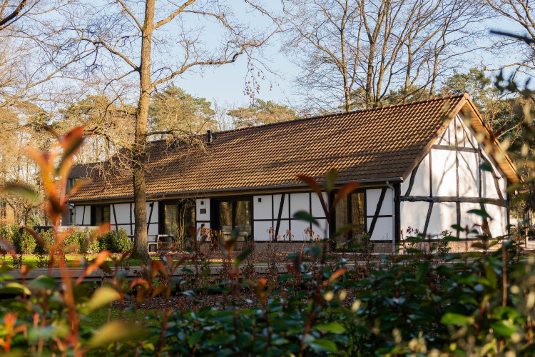 Traditionelles Fachwerkhaus mit rotem Dach im Grünen bei Villa Lodge, Woodz Lodges, Belgien.