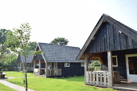 Houten lodges bij Wood Lodge met overdekte veranda’s, op gazon en omgeven door bomen en natuur.