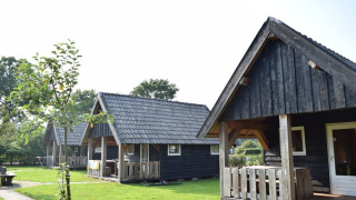 Houten huisjes van Wood Lodge met veranda’s en pannendaken op een groene grasveld, omringd door bomen.
