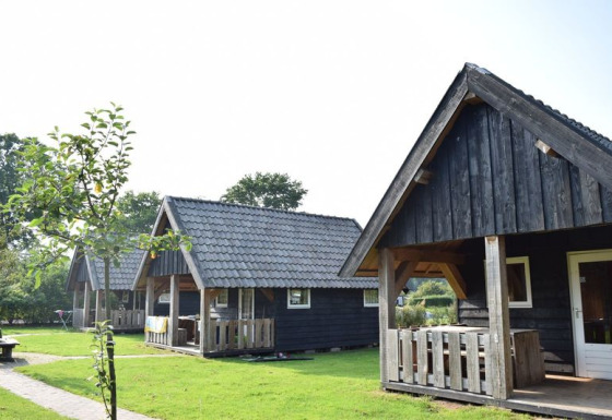 Houten lodges bij Wood Lodge met overdekte veranda’s, op gazon en omgeven door bomen en natuur.