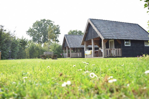 Two wooden lodges on green grass at Holiday park De Boshoek in the Netherlands, under a bright sky.