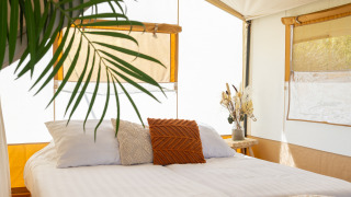 Binnenzicht van Safari Tent Lodge met dubbel bed, planten en gezellige inrichting in Nederland.