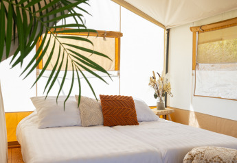 Vue intérieure de Safari Tent Lodge avec lit double, plantes et décoration chaleureuse aux Pays-Bas.