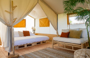 Interior view of a safari tent lodge with wooden furniture, cozy cushions, and plants in the Netherlands.