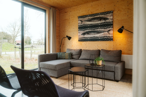 Salon moderne à Duunroos, Holiday park De Klepperstee, Pays-Bas, avec canapé gris et murs en bois.