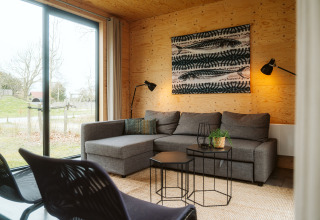 Stijlvolle woonkamer in Duunroos Lodge, Holiday park De Klepperstee, met houten wanden en een grijze bank.