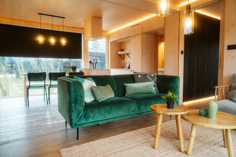 Salon moderne avec canapé vert, tables en bois et lumière naturelle à Ark Shelter, De Klepperstee, Pays-Bas.
