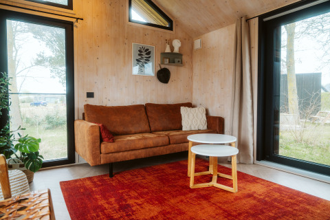 Sala moderna con sofá marrón, alfombra roja y grandes ventanales en una tiny house de De Klepperstee, Países Bajos.
