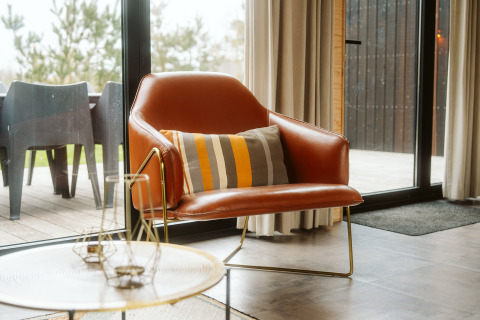 Sillón de cuero elegante con cojín a rayas junto a la ventana en el lodge Kleproos, De Klepperstee, Países Bajos.