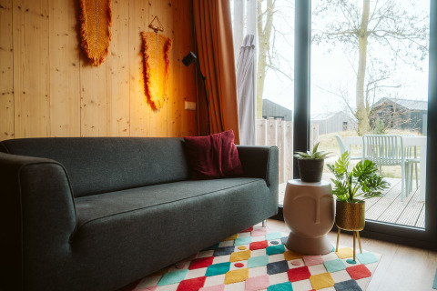 Salón moderno en una tiny house con sofá oscuro, alfombra colorida y plantas en De Klepperstee, Países Bajos.