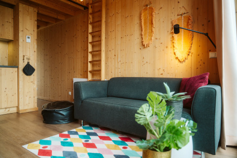Moderne tiny house woonkamer met grijze bank, kleurrijk vloerkleed en houten wanden bij Klaproos, De Klepperstee.