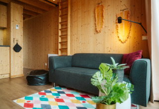 Modern tiny house living room with gray sofa, colorful rug, and wooden walls at Klaproos, De Klepperstee.