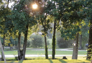 Sollys filtrerer gennem træerne i Club Les Ormes, en feriepark i Nouvelle-Aquitaine, Frankrig.