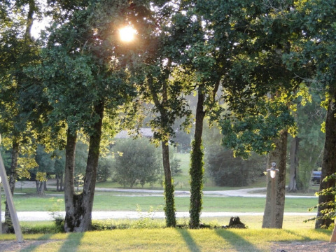 Zonnestralen door de bomen bij Club Les Ormes, een vakantiedomein in Nouvelle-Aquitaine, Frankrijk.