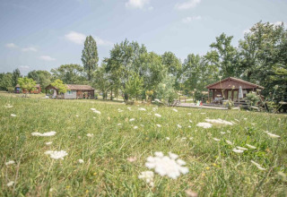 Vista di un prato fiorito e chalet in legno al Club Les Ormes, villaggio vacanze in Nouvelle-Aquitaine, Francia.