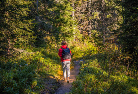 Person med rygsæk går på en skovsti nær St Etienne de Villeréal i det grønne Nouvelle-Aquitaine, Frankrig.
