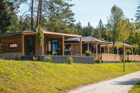 Panorama Lodge en Pressegger See, Austria, con modernas cabañas de madera rodeadas de vegetación y árboles.