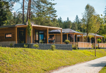 Panorama Lodge en Pressegger See, Austria, con modernas cabañas de madera rodeadas de vegetación y árboles.