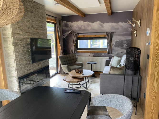 Modern living room with fireplace, TV, sofa and armchairs at Panorama Lodge, Pressegger See, Austria.