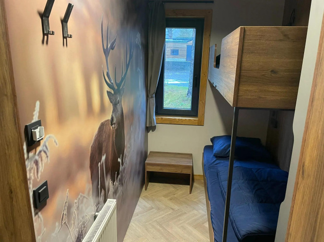 Cozy small lodge room at Panorama Lodge by Pressegger See, Austria, featuring bunk beds and a deer mural.