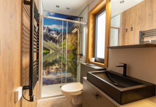 Moderne badkamer in de Panorama Lodge bij Pressegger See, Oostenrijk, met douchewand met berglandschap.
