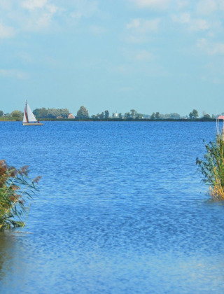 Vue sur un lac près de Jubbega, en Frise, Pays-Bas, avec des roseaux au premier plan et un voilier au loin.