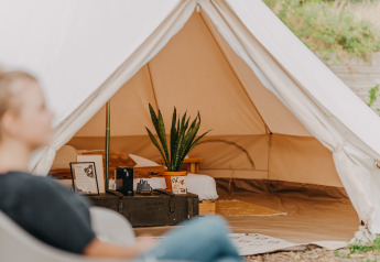 Binnenzicht van Bell Tent 500 bij REBL Outdoor in Nederland, met een gezellige inrichting en plant.