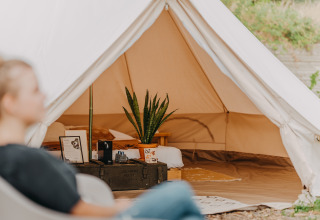 Indvendig udsigt til Bell Tent 500 hos REBL Outdoor i Holland med hyggelig indretning og plante.
