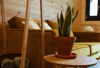 Gezellige inrichting van een glamping pod met houten wanden, plantje op tafel en gele zetel.