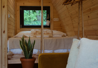 Interior de un cómodo Glamping Pod con paredes de madera, cama, perchero, planta y sofá mostaza.
