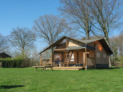 Safari tent Ranger Lodge at Recreation Park Den Blanken in the Netherlands, set on green grass with trees.