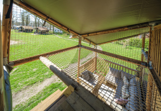 Uitzicht uit een safaritent Ranger Lodge in recreatiepark Den Blanken, Nederland, met net en zithoek.