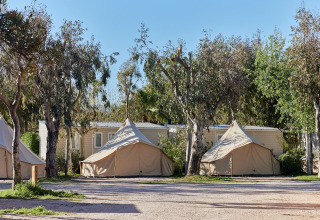 Glamping Bell Tent Balsa in TAIGA Delta de l'Ebre, Spanje, omgeven door bomen en zonnig weer.