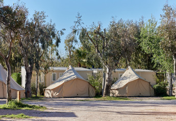 Tienda Glamping Bell Balsa en TAIGA Delta de l'Ebre, España, rodeada de árboles y luz solar brillante.