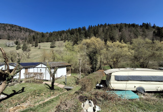 Zicht op Chalet Pauline aan Centre de Vacances Tariche in Zwitserland, met chalets, caravan en bos.