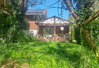 Chalet confort met houten veranda, weelderig groen, zonnig weer, blauwe lucht en zicht op de beek.