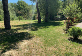 Sunny grassy campsite at Flower Camping La Rivière in Provence-Alpes-Côte d’Azur, France, surrounded by trees.