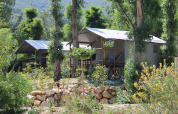 Tenda safari su palafitte al Flower Camping La Rivière in Francia, immersa tra alberi e natura verde.