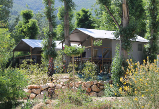 Tienda safari sobre pilotes en Flower Camping La Rivière en Francia, rodeada de árboles y vegetación.