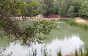 Vista di uno stagno circondato da alberi, scattata da On stilts Lodge Confort al Flower Camping La Rivière in Francia.