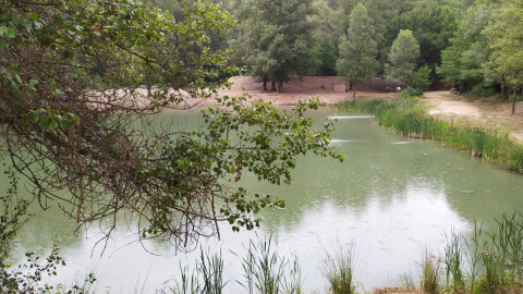 Blick auf einen kleinen Teich mit Bäumen im Hintergrund, aufgenommen bei On stilts Lodge Confort in Frankreich.
