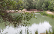 View of a peaceful pond surrounded by lush trees, taken at On stilts Lodge Confort at Flower Camping La Rivière.