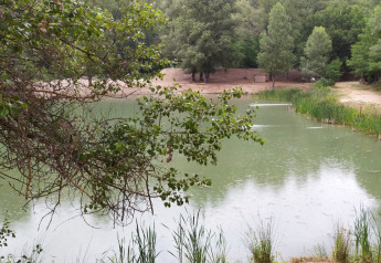 Uitzicht op een rustige vijver omringd door bomen, genomen bij On stilts Lodge Confort op Flower Camping La Rivière.