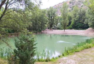 View of a tranquil pond surrounded by lush trees at Lodge on stilts Confort, Flower Camping La Rivière, France.