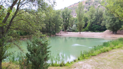 Vista de un estanque tranquilo rodeado de árboles verdes en Lodge on stilts Confort, Flower Camping La Rivière, Francia.