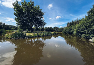 Vredig vijverzicht met bomen en blauwe lucht bij Camping cottage by the pond, REBL Outdoor, Nederland.