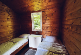 Cabaña de madera con dos camas individuales, ventana con vistas a la naturaleza y sencillo interior en Holanda.